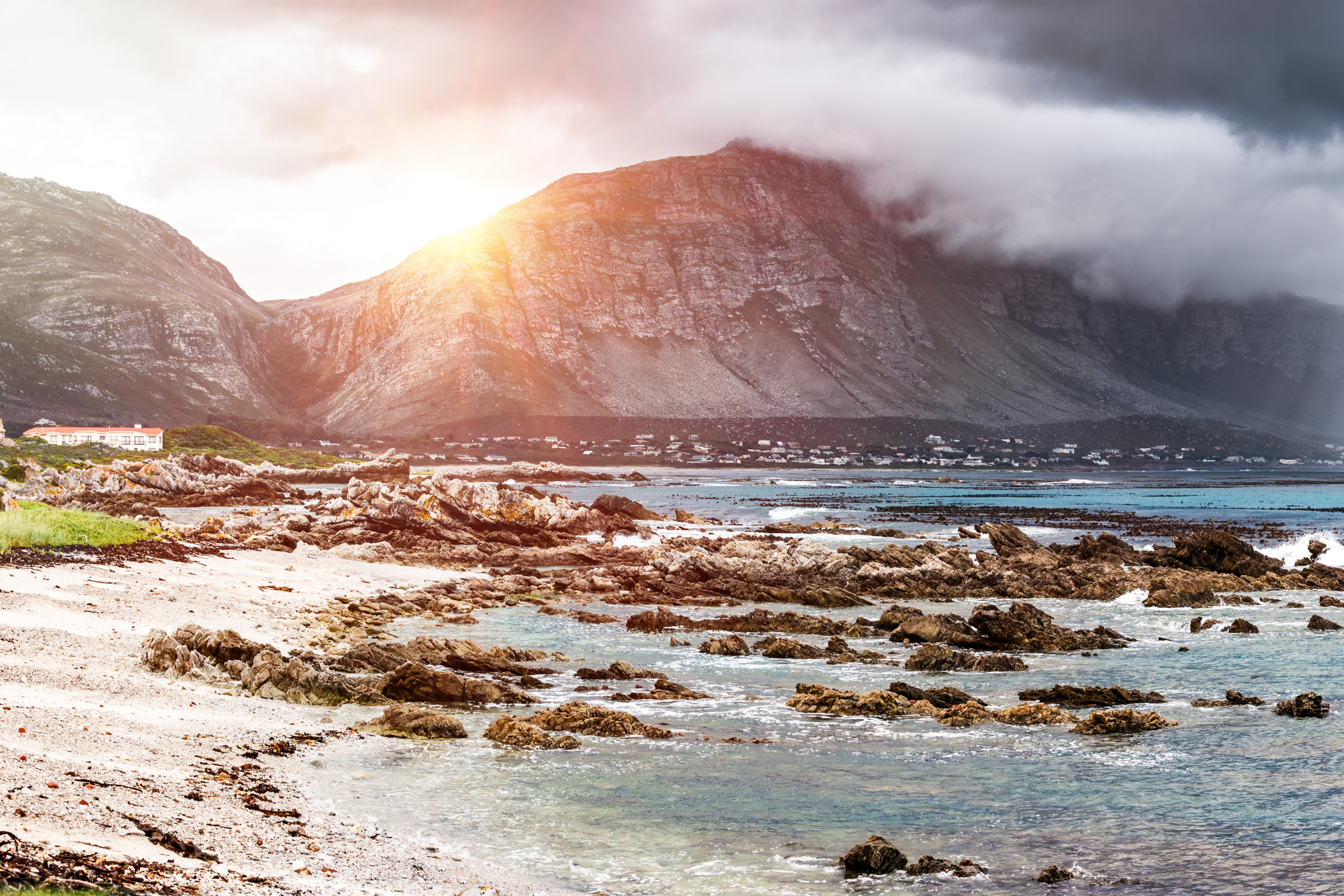 betty's bay (4).webp